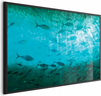 Produktbild von Posterpapier Poster - Group of Dark Fish 90x60 cm Tiere g-C-10160-ao-a