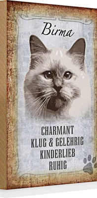 Produktbild von Holzschild Spruch 20x30cm Birma Katze klug