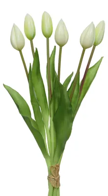 Produktbild von Tulpenbund mit 6 Blüten - Kunstblumen - H: 40cm - weiß