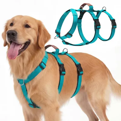 Immagine prodotto di Imbracatura per cani, antiscappamento, imbottita, traspirante, turchese, taglia XL