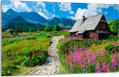 Obrázok produktu pre Ochranný sklenený plech na sporák 80x52 Mountains