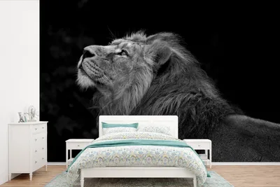 Produktbild von MuchoWow® Fototapete für Wohnzimmer oder Schlafzimmer Wandtapete Vinyl Motivtapete Löwe blickt auf schwarzem Hintergrund auf - schwarz und weiß - 420x280 cm - Zimmer für Kinder