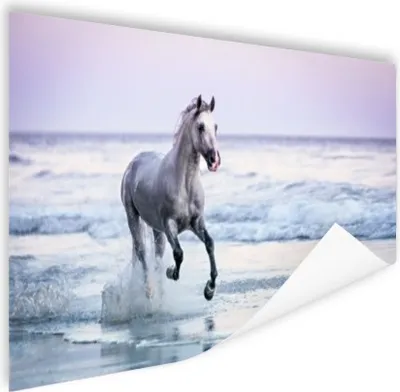 Produktbild von MuchoWow® Poster Pferde - Luft - Meer 180x120 cm - Fotoplakat