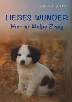 Produktbild von Liebes Wunder