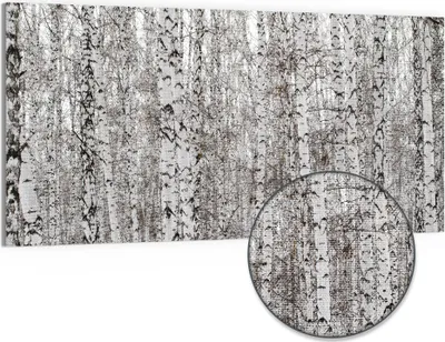 Produktbild von DEQORI Hybrid Leinwand Bild 100x50 cm 'Birkengeheimnis' Wandbild Glas flach modern