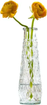 Produktbild von Glasvase hohe konische Form, 22 cm, transparent, für getrocknete Blumen