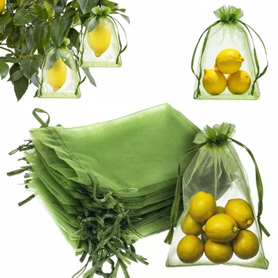Image de 50 sacs de protection pour fruits - Filet en organza vert pour le jardin