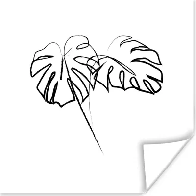 Produktbild von MuchoWow® Poster Monstera - Pflanze - Strichzeichnung 100x100 cm - Babyzimmer