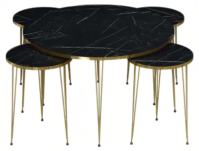 Image de Table basse en bois noir avec tables d'appoint de style moderne
