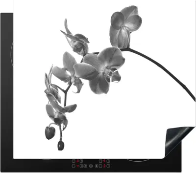 Produktbild von KitchenYeah© Herdabdeckplatte Orchidee vor weißem Hintergrund - schwarz und weiß , 60x52cm, Küche Deko, Glaskeramikkochfeld Herdabdeckung, Abdeckplatte fùr Kochfeld