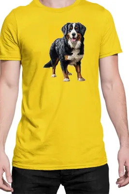Produktbild von Herren T-Shirt Dogs Breeds Weimaraner Dog Breed 007, Man L / Gelb