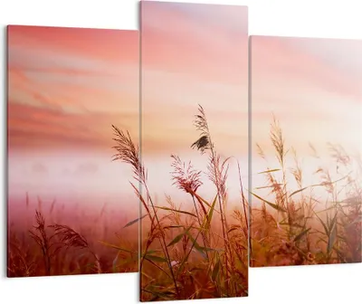 Produktbild von Bild auf Leinwand - Leinwandbild - Wiese Getreide Natur - 130x100cm - Wand Bild - Wanddeko - Leinwanddruck - Bilder - Kunstdruck - Wanddekoration - Leinwand bilder - Wandkunst - CB130x100-3530