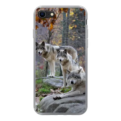 Produktbild von MuchoWow® Handyhülle Schutzhülle Hülle für iPhone SE 2020 Wölfe - Fels - Wald Silikon Softcase Handy Hülle - Kartenbesitzer