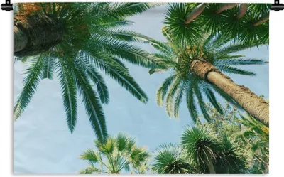 Produktbild von MuchoWow® Wandteppich Wandbehang Palmwedel - Himmel - Sommer - Tropisch 120x80 cm Tapisserie Dekoration Wandtuch - Wanddekorationen - Wandtücher