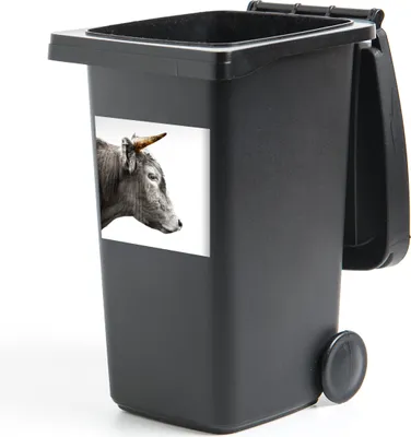 Produktbild von MuchoWow® Mülltonnenaufkleber Schottischer Highlander - Tiere - Kuh 40x40 cm - Abfall-Aufkleber - Container - für Abfallcontainer