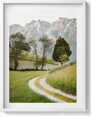 Produktbild von Felddogge in den Bergen– Wandbild mit Rahmen – Gerahmtes Bild  – Wanddekoration – 60x80 cm –  Weiß Rahmen