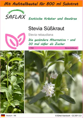 Produktbild von SAFLAX - Garden in the Bag - Kräuter - Stevia Süßkraut - 100 Samen - Mit Anzuchtsubstrat im praktischen, selbst aufstellenden Beutel - Stevia rebaudiana
