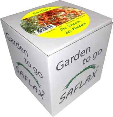 Produktbild von Sanddorn | Anzuchtsets von Saflax