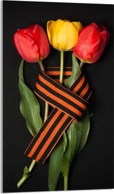Produktbild von Herdabdeckplatte 30x52 Glaskeramikkochfeld Abdeckung Spritzschutz Glasplatte Deko Schneidebrett, Tulpen Schwarz