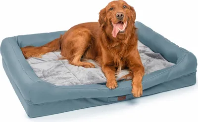 Produktbild von RAIKOU Hundematratze Hundebetten gepolstertes waschbares Tierbett Hundekissen Hundesofa Blau