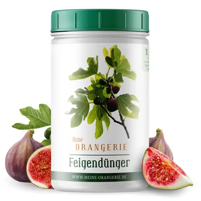 Produktbild von Meine Orangerie Feigenbaum Dünger [1kg] - Premium Dünger für Feigenbäume - Spezielle Formulierung für starke Pflanzen und viele Früchte