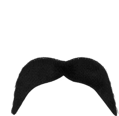 Immagine prodotto di Barba anni '70 nera - Taglia unica