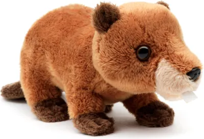 Produktbild von Uni-Toys - Biber Plushie - 20 cm (Länge) - Plüschtier, Kuscheltier