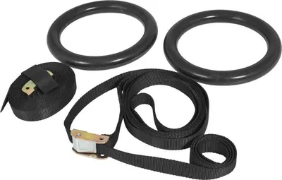 Two black gymnastic rings and two black straps with metal buckles are laid out on a white background.