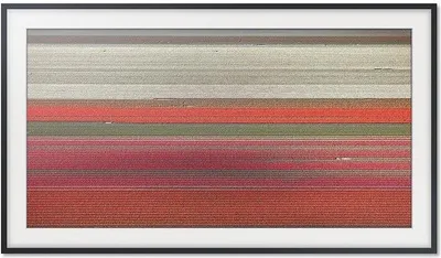 Immagine prodotto di Samsung VG-SCFN49BM/XC