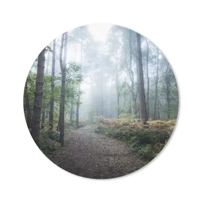 Produktbild von MuchoWow® Mauspad Mousepad Wald - Nebel - Weg 50x50 cm - Mousepads - Maus Mat - Pad - Mausunterlage - Vinyl