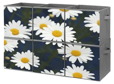 Obrázek produktu pro Skládací úložné boxy na oblečení a hračky (6 kusů)