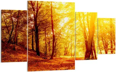 Produktbild von Bild auf Leinwand - Leinwandbild - Wald Baum Natur - 160x90cm - Wand Bild - Wanddeko - Wandbilder - Leinwanddruck - Bilder - Kunstdruck - Wanddekoration - Leinwand bilder - Wandkunst - DL160x90-3722