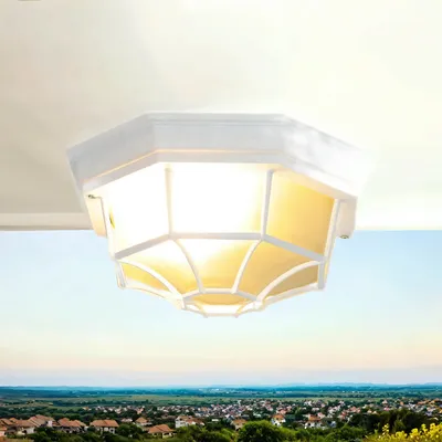 Immagine prodotto di Lampada da esterno rustica a soffitto bianco E27