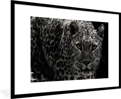 Produktbild von MuchoWow® Gerahmtes Poster Schwarz-Weiß-Foto eines farbigen Leoparden 90x60 cm - Poster mit Schwarzem Bilderrahmen Wandposter Rahmen Foto Bilder - Wanddekoration - Fotos