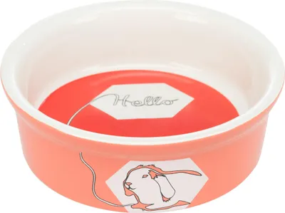 Image de Bol en céramique 240 ml/Ø 12 cm