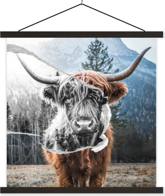 Produktbild von MuchoWow® Textilposter Tiere - Schottisches Hochlandrind - Stier 90x90 cm mit schwarzem Rahmen - Magnetisches