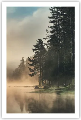 Produktbild von Poster - Poster ohne Rahmen - Nebel See Wald - 61x91,5 cm - Wand Bild - Wanddeko - Wandbilder - Kunstposter - Wandposter - Bilder - Kunstdruck - Wanddekoration - Wandbild - P2XPA61x91-4440