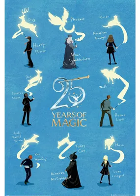 Immagine prodotto di Harry Potter - 25 anni - Poster, dimensioni 61x91,5 cm