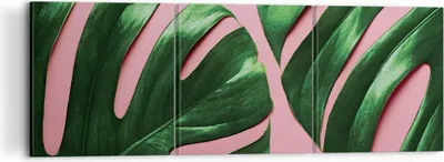 Produktbild von Bild auf Leinwand - Leinwandbild - 3 Teile - Monstera Blatt Rosa - 120x40cm - Wand Bild - Wanddeko - Wandbilder - Leinwanddruck - Bilder - Wanddekoration - Leinwand bilder - Wandbild - CA120x40-4407