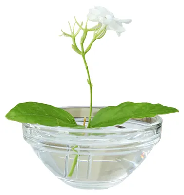 Produktbild von Hydroponischer Blumenarrangementhalter aus transparentem Acryl für den Schreibtisch, multifunktionaler Behälter