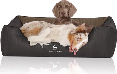 Produktbild von Knuffelwuff Orthopädisches Hundebett Outback aus laser-gestepptem Kunstleder XL 105 x 75cm Schwarz/Taupe