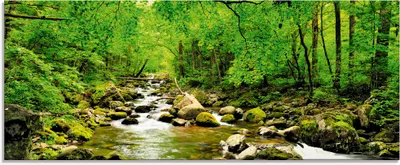 Produktbild von ARTland Glasbild Herbstwald Fluss Smolny Größe: 125x50 cm