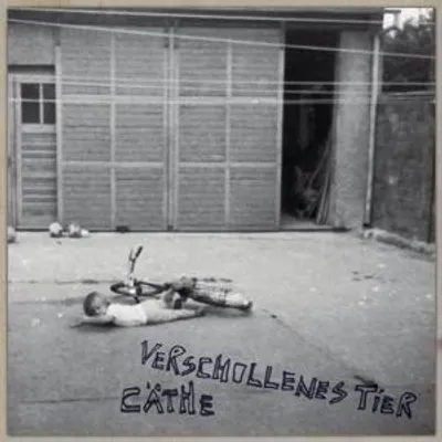 Produktbild von Verschollenes Tier