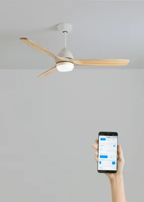 Produktbild von WIND CUP - Leiser Deckenventilator 40W Ø132 cm 100% Holz