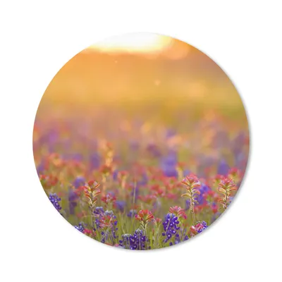 Produktbild von MuchoWow® Mauspad Mousepad Blumen - Gold - Sonne 40x40 cm - Mousepads - Maus Mat - Pad - Mausunterlage - Schreibtisch Accessoires