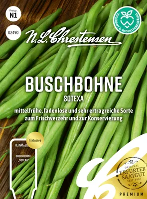 Artikelbild 1 von 'Buschbohne Sotexa' aus der Kategorie Buschbohnensamen
