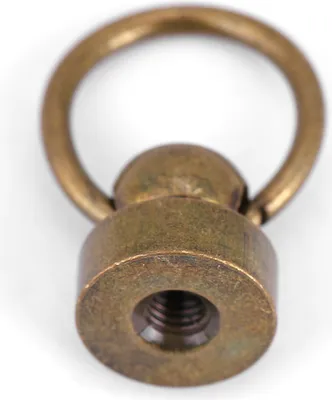 A close-up studio shot of a single metal fastener with a ring.