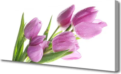 Produktbild von Tulup Leinwand-Bilder 125x50 Wandbild Canvas Kunstdruck Tulpen Pflanzen
