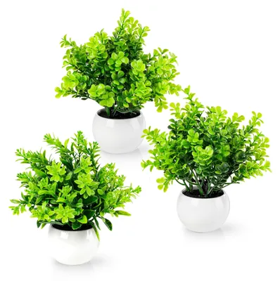 Zdjęcie produktu dla Zestaw 3 sztuk roślin sztucznych w białych ceramicznych doniczkach, wysokość 18 cm