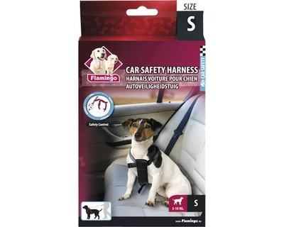 Immagine prodotto di Pettorina per cani Karlie per auto, taglia: S